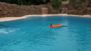 VID-20210222-WA0001.mp4