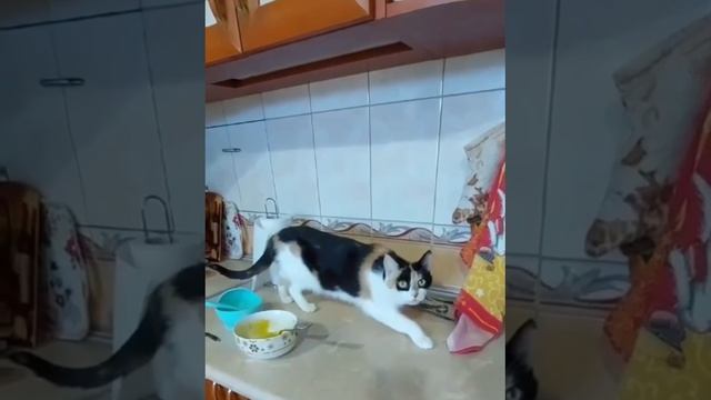 Когда притворился статуей
#shorts