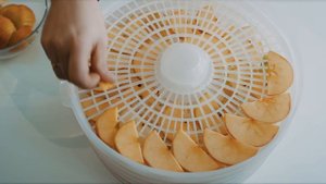 Сушилка для овощей и фруктов GEMLUX GL-FD-01R