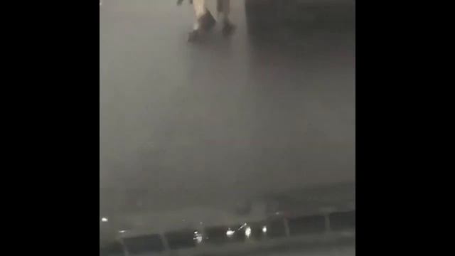 ПЕРЕВОЗКА АЛАБАЯ СО СЛОМАННОЙ НОГОЙ  МАШИНА ЕСТЬ, УМА НЕТ. МОСКВА