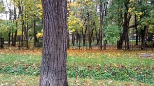 Октябрьский бульвар. г. Пушкин. Санкт-Петербург.