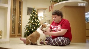 Собаки на ТНТ: Женя Кулик и его пёся