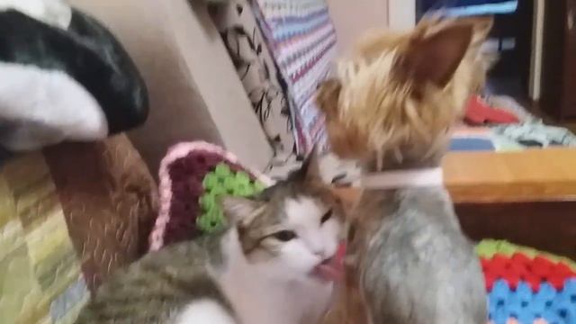 РЕЛАКС МАССАЖ ОТ БУСИНКИ    БЕАТРИЧЕ БАЛДЕЕТ.......mp4