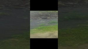 обзор детского сада