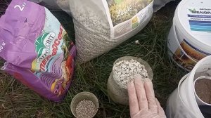 Детально: осенняя посадка жимолости, как заправить лунки