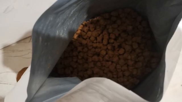 правильное питание немецкой овчарки(советую посмотреть) смотреть онлайн