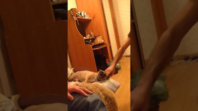 Юлик и виагра смотреть онлайн