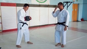 Отработка удара кизами цуки