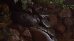 кафе базилик