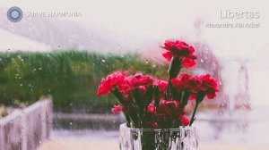 Música Relaxante LIBERTAS Instrumental Suave com Sons de Chuva 🎵SH184