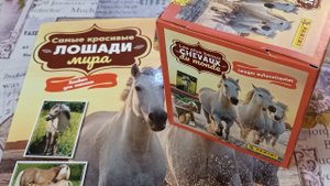 Обзор наклеек от Panini. Самые красивые лошади мира. #1