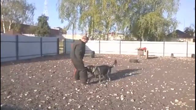 Олег Радченко, подготовка. Орёл 2018г. смотреть онлайн