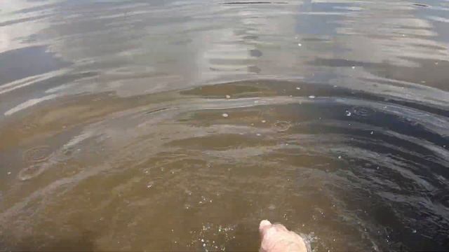 Городские пляжи Минска возле ресторана-клуба Дрозды / #пляжиминска #кудасходить #где_позагорать