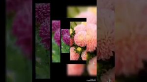 Эзләдем тапмадым