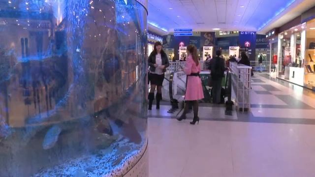 Не тормози... на пути к КРАСОТЕ! смотреть онлайн