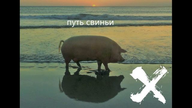 ХохляндиЯ - Дед Максим (гавно кавер) смотреть онлайн
