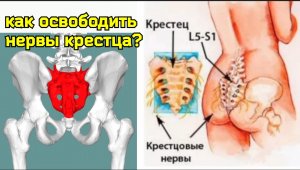 Крестец - "священный" мост между тазобедренными суставами и поясницей. Упражнения