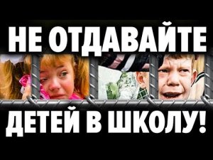 Почему в школе процветают уголовные порядки ? Альтернатива школьной системе