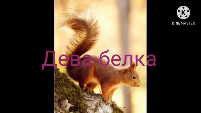 Знаки задиака и их животное