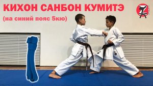 Кихон Санбон Кумитэ на синий пояс 5 кю