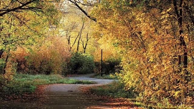Петропавловск#городской парк летом осенью и весной. смотреть онлайн