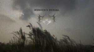 Полюшко-поле (Metal cover by Border's Burial)