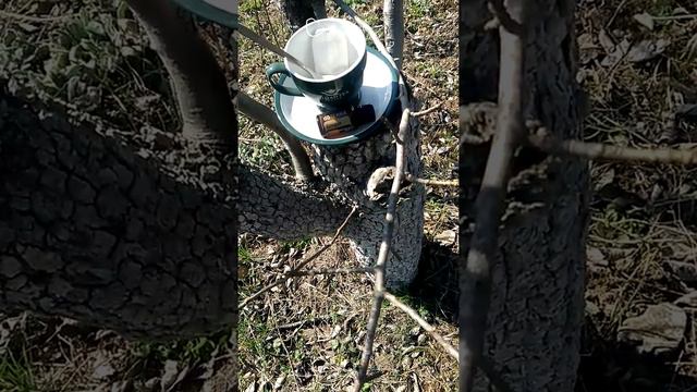 Просто, вкусно, дешево и полезно. Чай с имбирем.