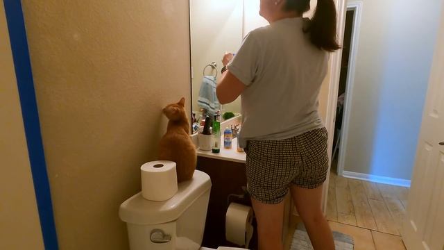 США.Переделка ванной комнаты/Красим/Неудачная попытка восстановить структуру стены/Меняем полки. смотреть онлайн