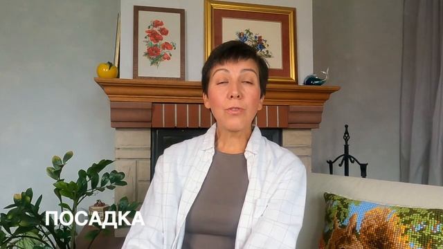 Осенние работы в саду и огороде || 10 шагов, которые надо обязательно сделать на даче в конце сезон