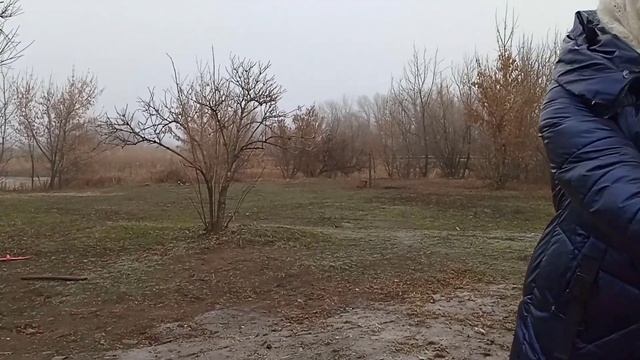 Сад огород в декабре. Пересаживаем алоэ, чистим, жарим рыбу. #Влог #ПереездВдеревню