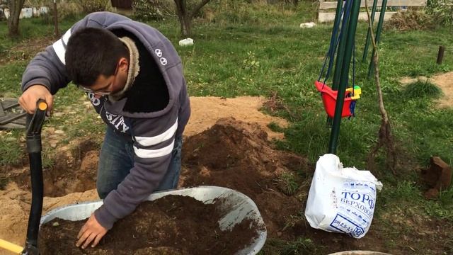 КАК сажать ДЕРЕВЬЯ правильно! Экономьте время и силы! смотреть онлайн