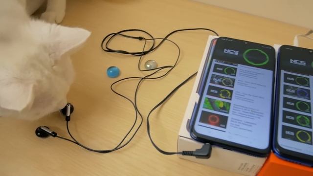 Redmi NOTE 7 Global vs Samsung Galaxy M20 - что выбрать? Батл! смотреть онлайн