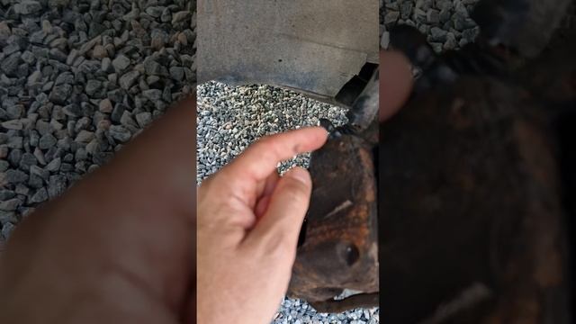 Замена тормозной жидкости Peugeot 307SW часть 11 смотреть онлайн