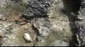 Ловля Рыбы На Пенопласт.  Место [Ловля Рыбы На Пенопласт Видео]