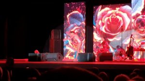 Певица Слава на концерте в Подольске 31.01.2020 г. с песней "Шизофрения"