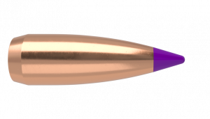 Nosler Ballistic Tip Varmint 6mm/243 55gr/3,6грамм ВС-0,276
