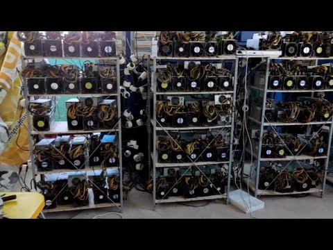 В ДОЛ «Звездный» обнаружили нелегальную майнинг-фирму