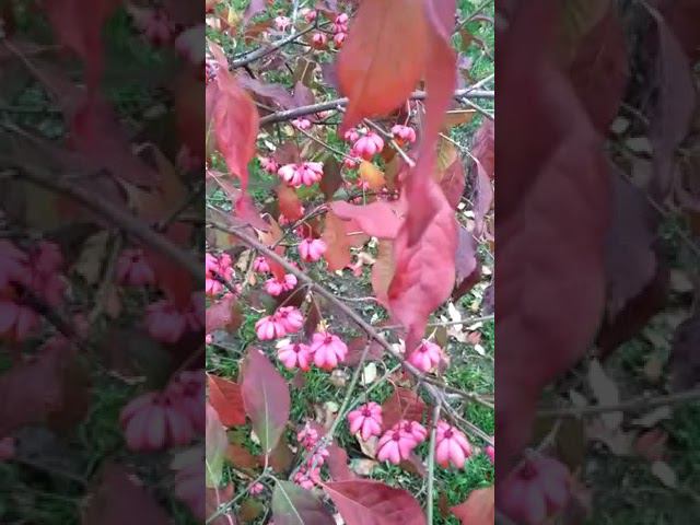 29 октября 2022 г. смотреть онлайн