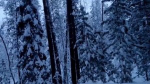 Мотобуксировщик Мужик, люкс 600 с ДВС 17лс и карбюратором К-63. Едем в лес за дровами.