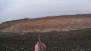 Охота на зайца.Где искать зайца.Сидит до последнего.Hare hunting.