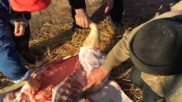 Как разделать свиную тушу в домашних условиях. Мастер-класс от мясника - разделка свинины.
