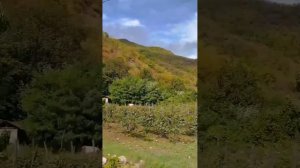 Храм Богоматери Баракони