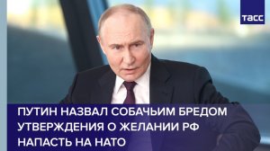Путин назвал собачьим бредом утверждения о желании РФ напасть на НАТО