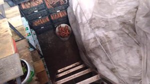 Погреб из бетонных колец 2