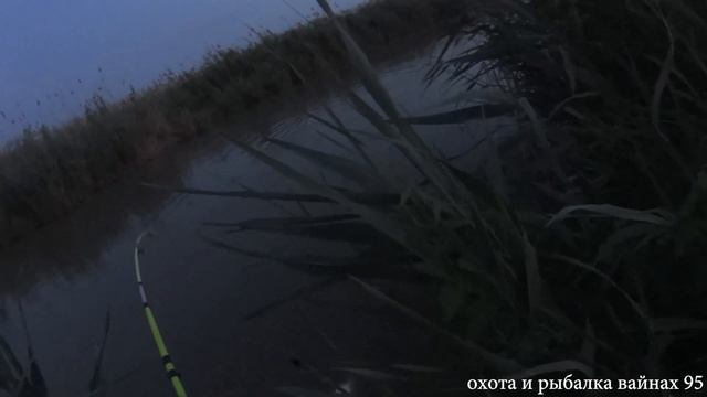 гигантский сом на пиявку смотреть онлайн