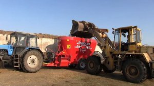 Автоматизированный коровник  Устройство помещения для содержания коров