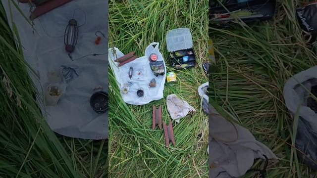 Блесним на канале, поставили три донки на ночь. смотреть онлайн