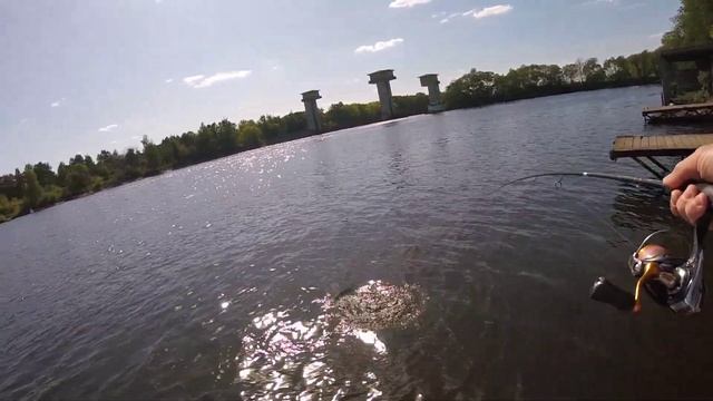 РЫБАЛКА НА ВОБЛЕРА ВЕСНОЙ С БЕРЕГА НА СПИННИНГ! ПОПАЛСЯ БОНУС! ##срыбалки #рыбалканаспиннинг