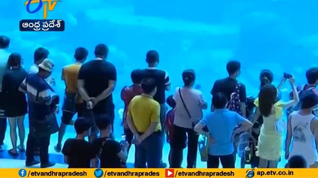 China's tourism industry recovers steadily amid epidemic control смотреть онлайн