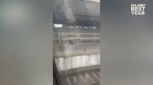 Best Fails of the Year _ Try Not To Laugh